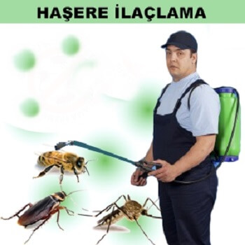 Kınık Böcek İlaçlama